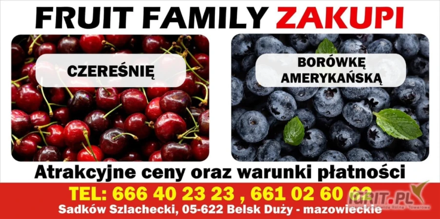 /images/posts/2025/06/2021529/ZCOqd5e4YsUgKSWb3Bx4epvWL1j5AdsdwR3GM4C1.jpeg