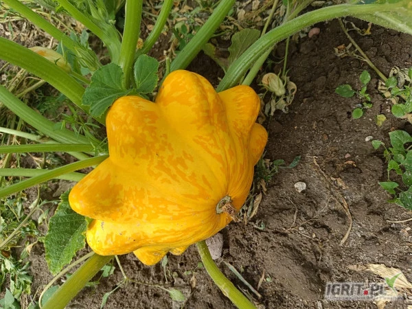 /images/posts/2024/08/1898697/BFP4rb59mWmNiWWLDefAChv77LIhNMX9b1uTkr4X.jpeg