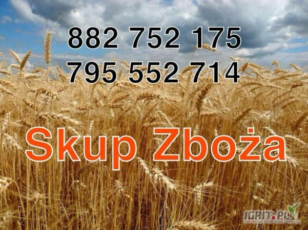 /images/posts/2025/06/2021701/Ypb1BVR7A7xpdkSSbelL2dBsCactIp8hjXdqlGmv.jpeg