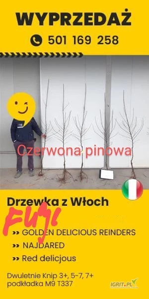 /images/posts/2025/06/2021746/kFX2m7EDGwpdkzAosueDsrfTYY34UGV9AgAv20wF.jpeg