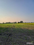 Malownicze siedlisko  – Twój raj na Ziemi!
