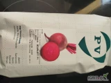 SCARLETT F1 (j.50 000n) nasiona buraka czerwonego firmy Pop Vriend Seeds oferuje GEPWEG dystrybutor nasion. Dostawa gratis. Płatność przy...