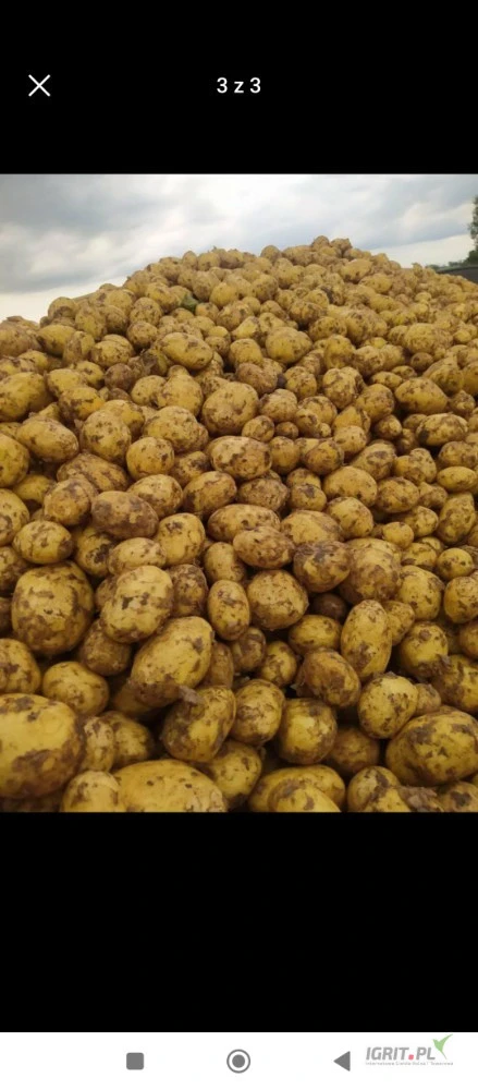 /images/posts/2025/06/2021766/j0tzIodr7QQdg2wFgMJORch0y9BIyDNRxg5ixGs4.jpeg