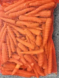 Sprzedam Marchew Młodą, Polską, myta, po szczotce, w worku szytym 10kg. Ilości paletowe
