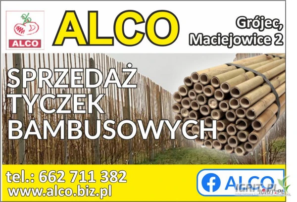 /images/posts/2024/12/1946444/cCla7RxCCMrIZsLbZbIavdmdj3JadEZnTwxS4PKP.jpeg