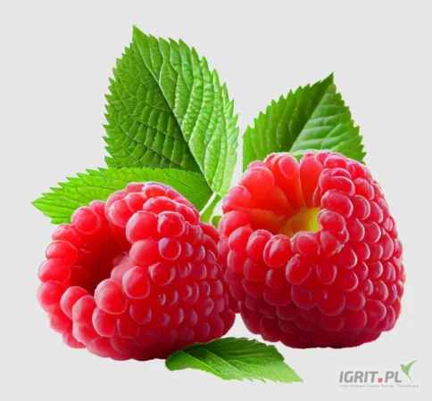 /images/posts/2023/07/1725872/cjW5zf2UG8BqEanVDpcApzPG9Yu56QSx8aBwqXTR.jpeg