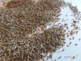 Sprzedam Nasiona Anyżu z Egiptu, w bardzo dobrej jakości, świeżo importowana - w cenie promocyjnej 13,00 zł/kg.