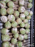 Sprzedam Seler odmiana Markiz kaliber od 0.4-1kg po szczotce opakowanie do uzgodnienia 