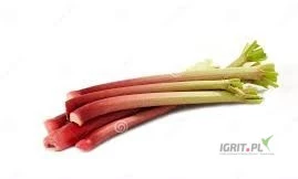 /images/posts/2025/06/2021864/1O8igU0YvBUNShrr8Q4HjuLQLKXwJvJcMG1b0fWs.jpeg