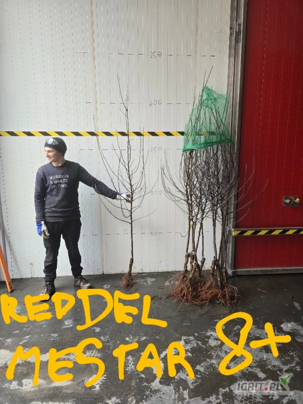 /images/posts/2025/06/2021881/nh9uptHQZ4VVXlImpkDqsiqLkqXiZrZCC2f2S70d.jpeg