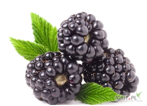 /images/posts/2023/07/1724447/vF0KfZJySxpmyp0AgQKv3heIuaCDQgAtAFsbAbp4.jpeg