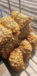 Sprzedam młodego ziemniaka Riviera i columba pakowane w worek 15kg 