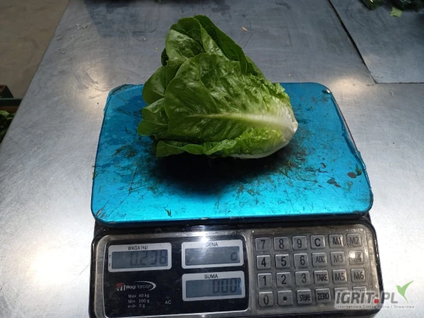 /images/posts/2025/06/2022013/NcmFRxoUOxFCBIOmXJShH0mVHQ50S3sZm4xIG9Gs.jpeg