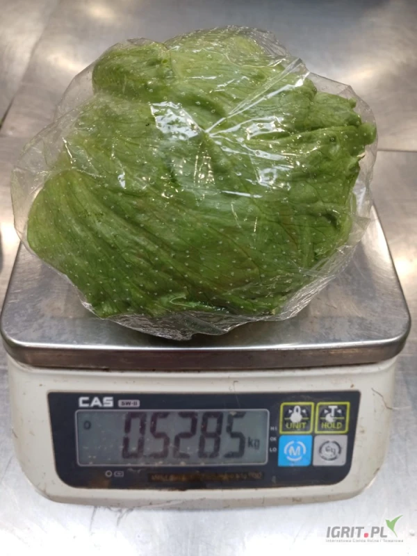 /images/posts/2025/06/2022007/FtT8wtyVYpY9R69QQTw67RN3kXxuvsk7fOQFFsaA.jpeg