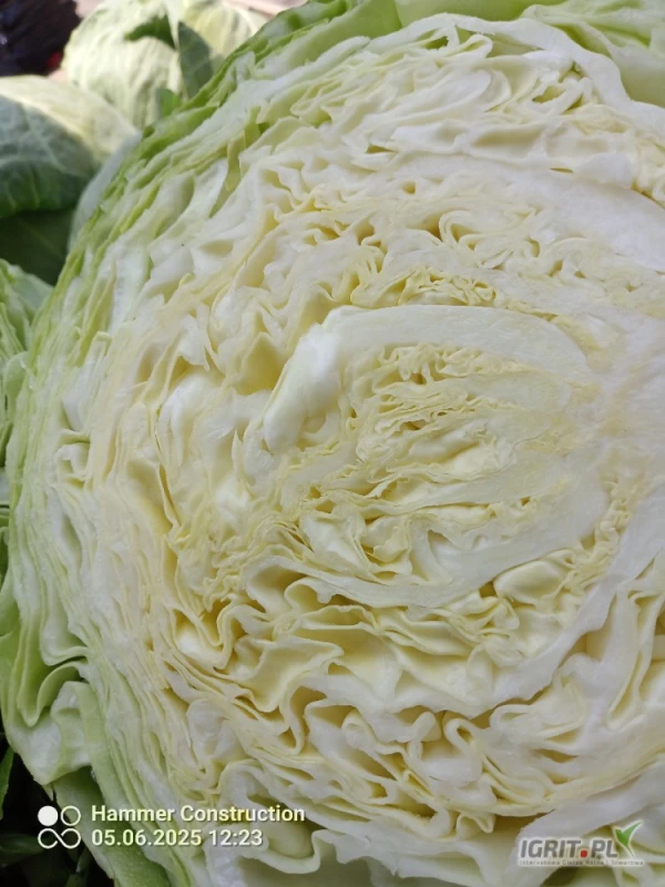 /images/posts/2025/06/2022036/JsD6P6RSpyGEc3QZlftTc8RhXzowwgCj6gsR5KE0.jpeg