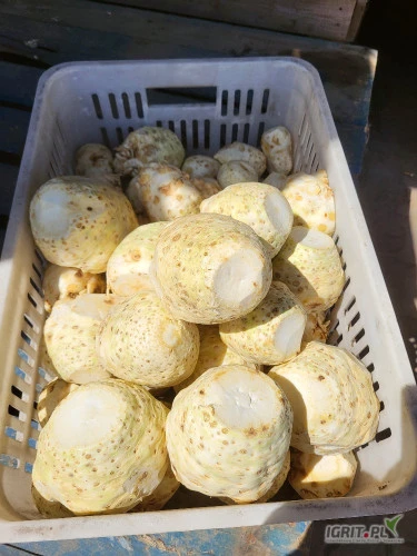 /images/posts/2024/06/1873221/LjqtkUMYIyaLtWAC8GHfkXNviLi3jhn7oEENRLGn.jpeg