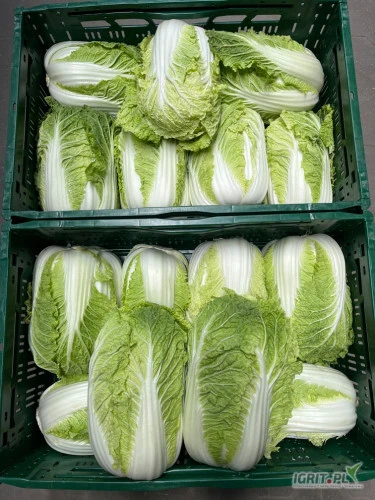 /images/posts/2024/06/1875260/WRkTUYTtG5FtgyiB2auuPshqH5vSVhhVLLr8re12.jpeg