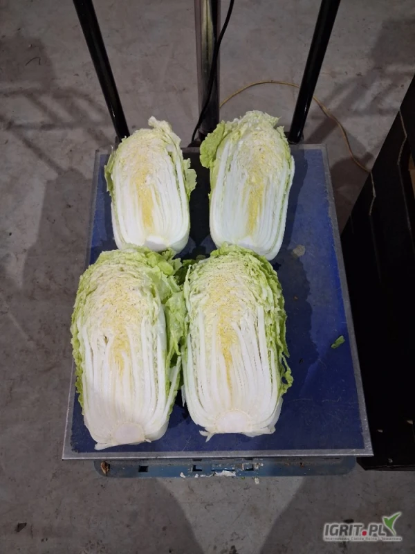 /images/posts/2025/06/2022087/Vkhe5XBA3RryXkvDavmoMyEiOGJJd0utnHLhxZG7.jpeg