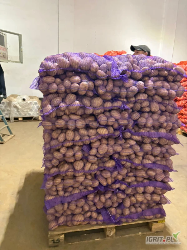 /images/posts/2025/06/2022124/kXoYFZMMPafQyGRvNcsLUUvFKCjbtacnzvlpU7SY.jpeg