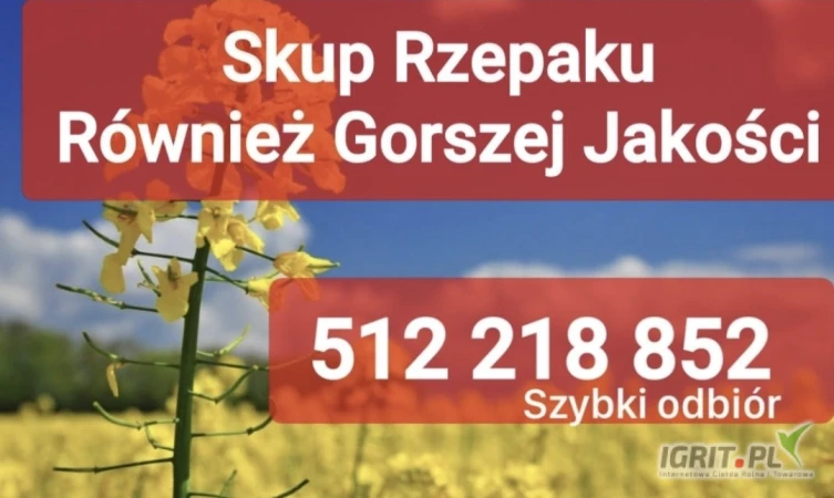 /images/posts/2025/05/2010412/okyFIIjfi2Mrrr1PuFOSWM91XwUokH7Uc6mVVR9k.jpeg