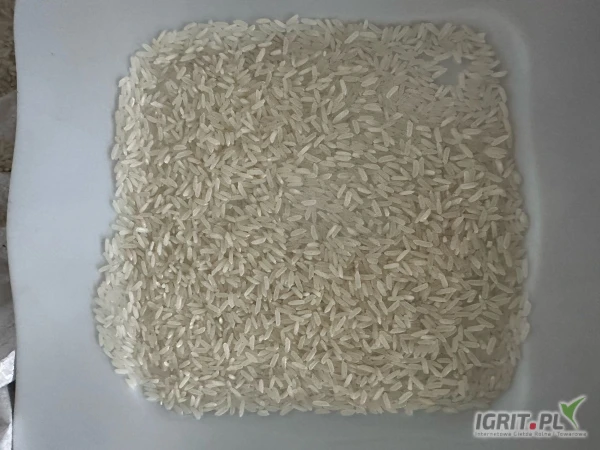 /images/posts/2024/10/1923123/9sd6SUFLa67XnGrFjpIumYGOAEOho1CDqGMdiwNN.jpeg