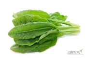 KUPIE 
