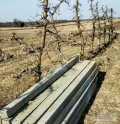 Sprzedam słupki betonowe, używane, 2,8m. 45szt. Cena 14zl.