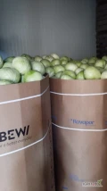 Sprzedam kapustę białą kaliber 1-4kg opakowanie karton box 
