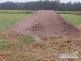 Zlecę na powrocie transport  wapna nawozowego z Kopalni Kieleckiej Słupia 26-006 Skały 37 c   do Powiatu Węgrów kod 07-106  Miedzna...