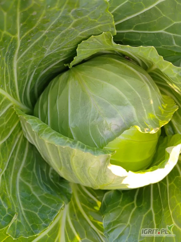 /images/posts/2025/06/2022214/0W8DFgyTK6SyzrSCr8lveF1CfksrymvOXP8uI99F.jpeg