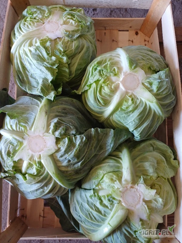 /images/posts/2025/06/2022218/ckYCzLffVA1zD6oZBHlvjRby1BpKuAvXrJGh6Khf.jpeg
