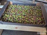 Sprzedam agrest czerwony w opakowaniu 200 gram.
