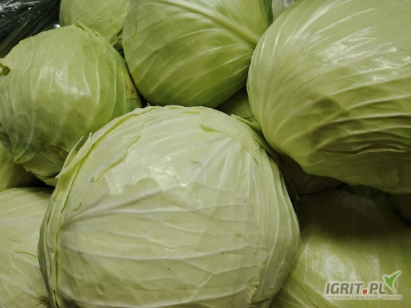 /images/posts/2025/05/2009970/9L0fWn39ehOKXq1Oj2euJbM9ifg55hwdII6RgGha.jpeg