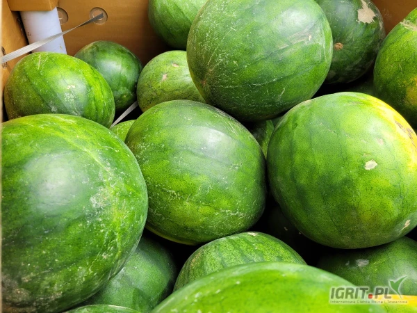 /images/posts/2025/05/2010610/UV4jAi3JRvmMF2e045XiSgbVED8MriNll78RMljq.jpeg