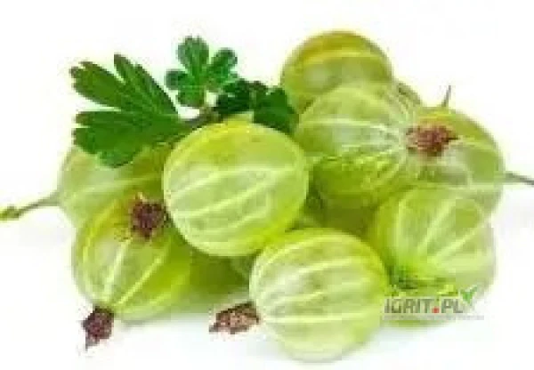 /images/posts/2024/06/1869304/u2mEUZkJaNbRcqEKvWLJwLOpM4daxm1590q4jUMH.jpeg