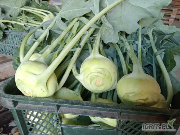 /images/posts/2025/05/2011241/mEGuO3mUKaSNbhBbiUzemaurYslBqEnVGEz4LNS6.jpeg