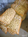 Sprzedam ziemniaki kaliber 30-50. Odmiana tajfun. Ziemniaki spakowane w worki po 30 kg. Ilość 2 tony. 