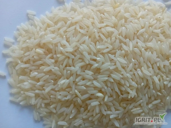/images/posts/2025/05/2011213/UDJgSzZNqH036wxEusLqbK1pTcd9ljHDQspOeePu.jpeg