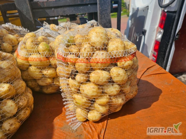 /images/posts/2025/05/2010907/7diiL8aXJWtEyO7xWC9QTLZaxAiAdGUE1mZb34tt.jpeg