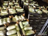 Sprzedam kapustę pekińską duże ilości, waga 0.5-1.8kg