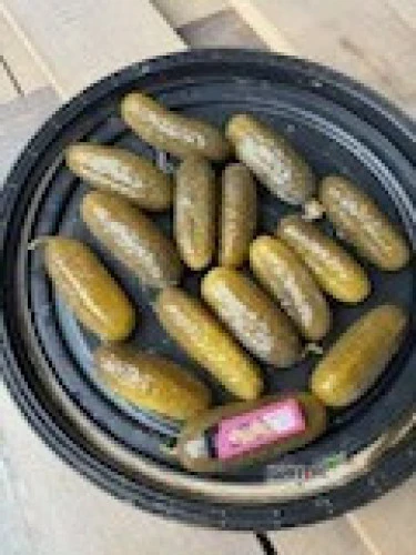 /images/posts/2025/02/1971676/xIx0aE7Eujg5f2ABASYdztkGZN4kA5vKCopmQMLt.jpeg