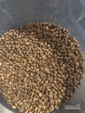 Sprzedam łubin szerokolisny żółty słodki pakowany w workach po 25 kg 