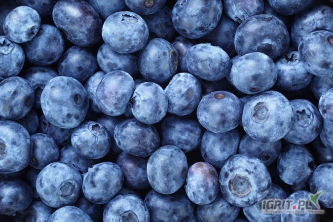 /images/posts/2025/06/2022895/ag2b872J1wjql1wCafHKfZ2KXMDpap2QMxPufZCA.jpeg