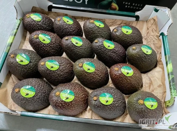 /images/posts/2024/12/1951018/Du6zKsGpOqZaQ0P3p7tlhhk4Wg78Hqbf7vwosJtH.jpeg