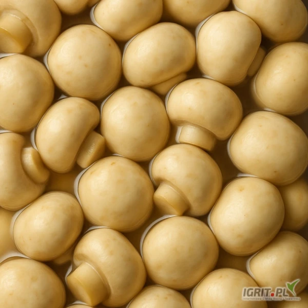 /images/posts/2025/06/2023193/XBmnFTOY8ihdPSvhLCD8si2YrbEP4Z2QHu2YX4zG.jpeg