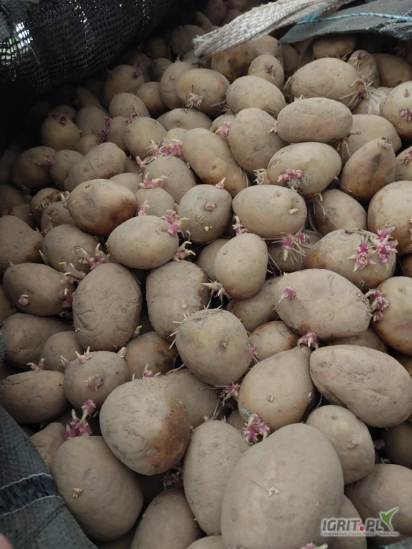 /images/posts/2025/05/2011385/rJGoW0yPnd96YE5am5o20R5lvux112VSAZFJVAO9.jpeg