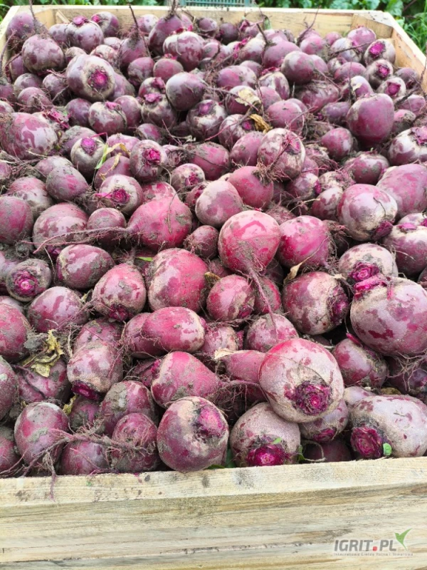 /images/posts/2025/06/2023205/j5pivofRZao5K4kSWZ4gO74gXDOscPwOj0gCtEWf.jpeg