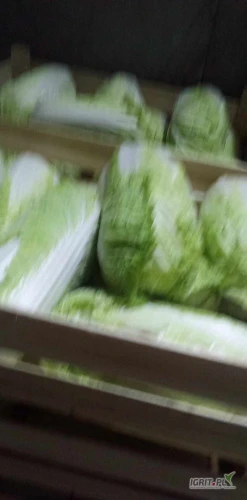/images/posts/2025/01/1961411/h17m3TWnHfEwaV0rpgpCZkDHdwG6Fq0lxgi1wYi7.jpeg