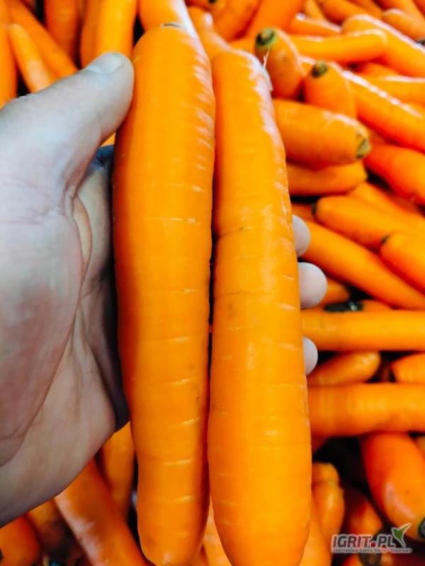 /images/posts/2025/05/2011180/Xq7ESYLFPks8wHsDVbBvIeLvJKeeu3TD9QE3xNnL.jpeg