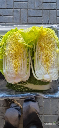 /images/posts/2025/02/1975681/IHEx0KihHW3i1InoiDHAKGGBg6OKHJKTncXSK1F3.jpeg